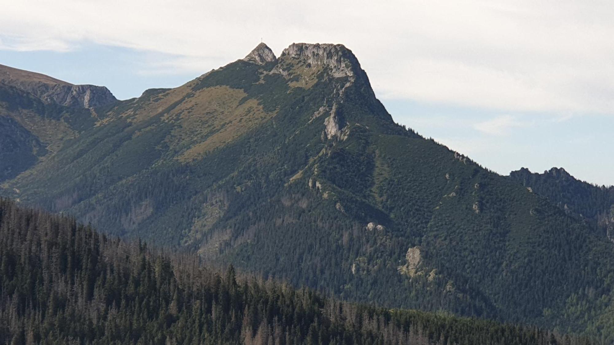Bukowina Tatrzanska -Czarna Gora- Black Apart- Widok Na Tatry, Jacuzzi, Bilard, Game Room Bukowina Tatrzańska Exterior foto